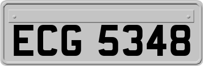 ECG5348