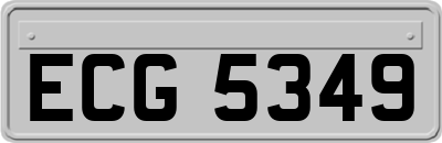 ECG5349