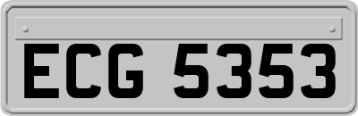 ECG5353