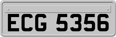 ECG5356