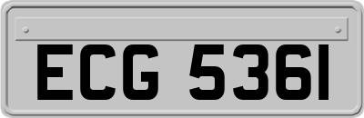 ECG5361