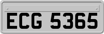 ECG5365