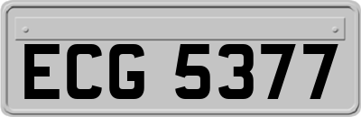 ECG5377