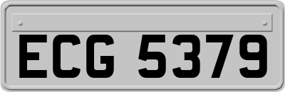 ECG5379