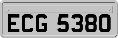 ECG5380