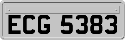 ECG5383