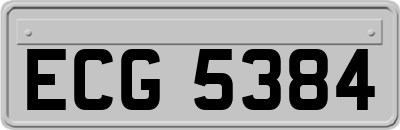 ECG5384