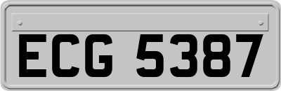 ECG5387