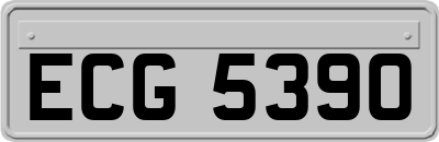 ECG5390