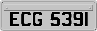 ECG5391