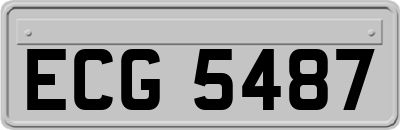 ECG5487