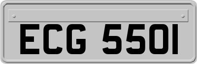 ECG5501