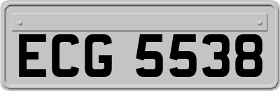 ECG5538