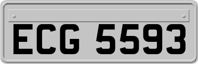 ECG5593