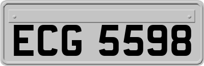 ECG5598