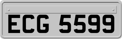 ECG5599