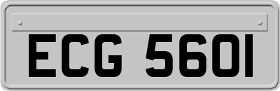 ECG5601