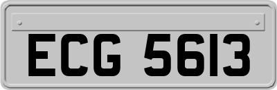 ECG5613
