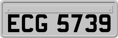 ECG5739
