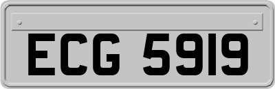 ECG5919