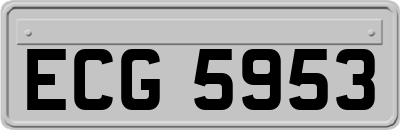 ECG5953