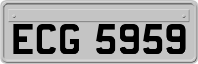 ECG5959