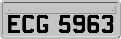 ECG5963
