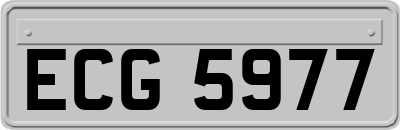 ECG5977