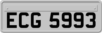 ECG5993