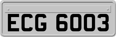 ECG6003