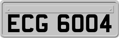 ECG6004