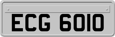 ECG6010