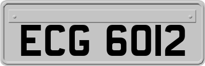 ECG6012