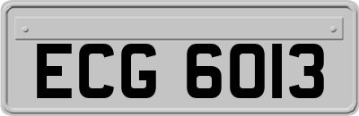 ECG6013