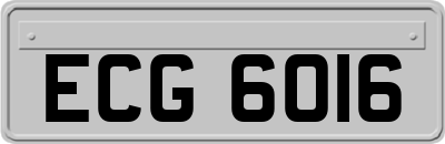 ECG6016