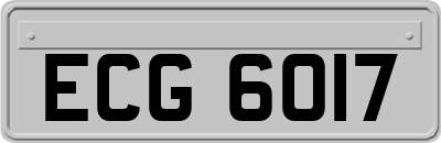 ECG6017