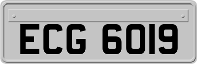 ECG6019
