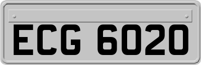 ECG6020