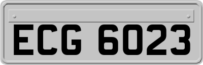 ECG6023