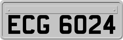 ECG6024