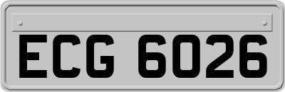 ECG6026