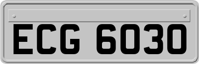 ECG6030