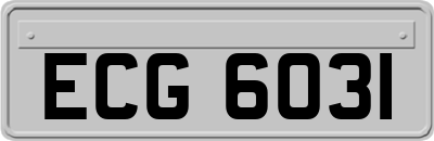 ECG6031