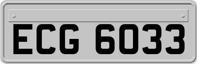 ECG6033