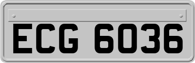 ECG6036