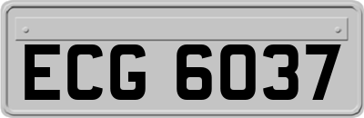 ECG6037