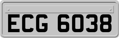 ECG6038