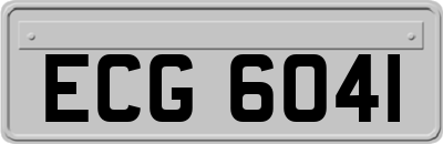ECG6041