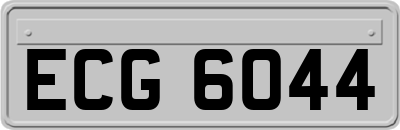 ECG6044