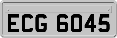 ECG6045